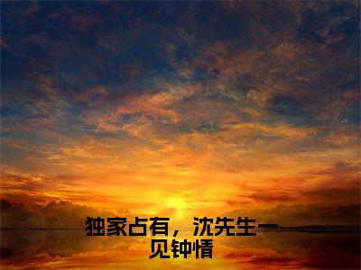 独家占有，沈先生一见钟情小说在线阅读（沈越泽祁晴）全文免费阅读大结局_独家占有，沈先生一见钟情最新章节列表笔趣阁