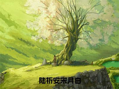 陆祈安宋月白（陆祈安宋月白）小说免费无弹窗大结局-陆祈安宋月白小说全文完整版阅读