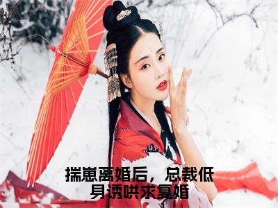 小说揣崽离婚后，总裁低身诱哄求复婚全文免费阅读无弹窗_（唐禹墨林舒童完结）揣崽离婚后，总裁低身诱哄求复婚小说免费阅读无弹窗最新章节列表