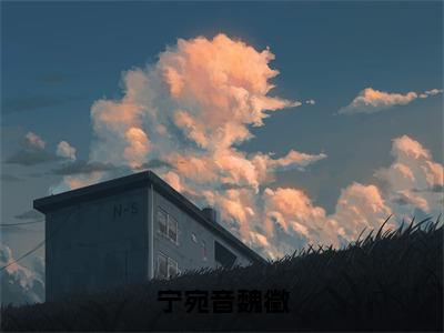 小说（宁宛音魏徵）_宁宛音魏徵全文阅读_宁宛音魏徵免费阅读大结局