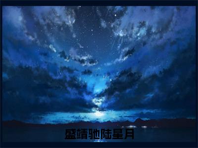 盛靖驰陆星月（陆星月盛靖驰免费阅读无弹窗）陆星月盛靖驰最新章节列表_笔趣阁