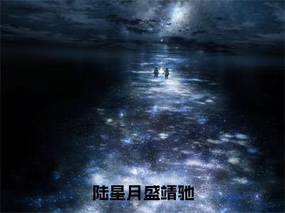 陆星月盛靖驰（陆星月盛靖驰）全文免费阅读无弹窗大结局_（陆星月盛靖驰全文免费阅读无弹窗）最新章节列表