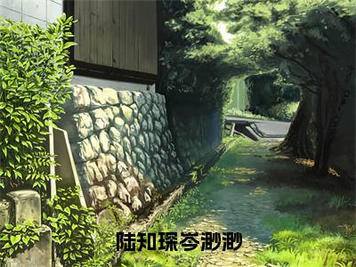 小说（陆知琛岑渺渺）_岑渺渺陆知琛全文阅读_陆知琛岑渺渺免费阅读大结局