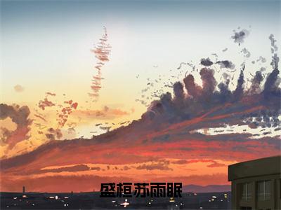 【新书】《盛桓苏雨眠》全文免费阅读无弹窗大结局-苏雨眠盛桓全文全章节免费阅读