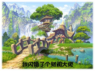 许雨晴沐长风（我闪婚了个财阀大佬）免费全文阅读小说_（许雨晴沐长风）我闪婚了个财阀大佬最新章节列表