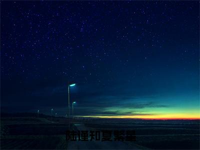 小说陆谨知夏繁星在线阅读-正版小说《夏繁星陆谨知》陆谨知夏繁星全文阅读