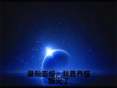 星际恋综，我靠养猫爆火了（云落桐）全文免费阅读无弹窗_星际恋综，我靠养猫爆火了（云落桐小说完整版）最新章节列表