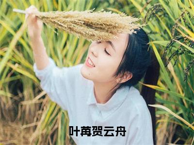 叶苒贺云舟精彩小说（叶苒贺云舟）在哪免费看-小说（叶苒贺云舟）全文完整版免费阅读