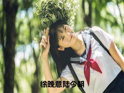 小说徐晚意陆今朝（徐晚意陆今朝全文免费阅读）完结阅读_徐晚意陆今朝全文免费阅读免费看全文