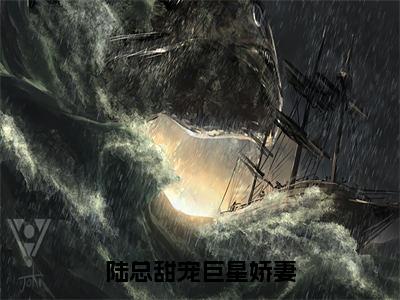 陆总甜宠巨星娇妻（安宁陆怀瑾）全文免费阅读无弹窗_陆总甜宠巨星娇妻（安宁陆怀瑾）全文阅读-笔趣阁