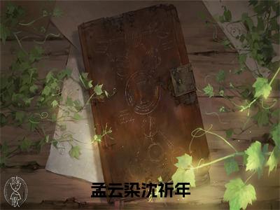 沈祈年孟云染（孟云染沈祈年）全文免费阅读无弹窗大结局_沈祈年孟云染最新章节列表