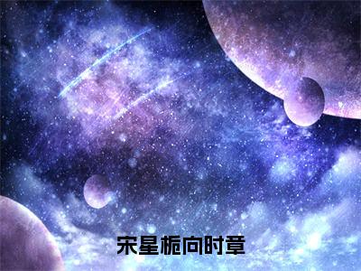 宋星栀向时章小说全文免费阅读无弹窗大结局_向时章宋星栀最新章节列表_笔趣阁