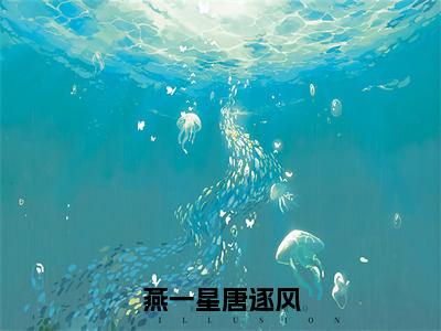 燕一星唐逐风（燕一星唐逐风）全文免费阅读无弹窗大结局_（燕一星唐逐风）燕一星唐逐风最新章节列表