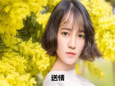 宋清曲向文（送情）全文免费阅读-小说送情最新章节阅读笔趣阁