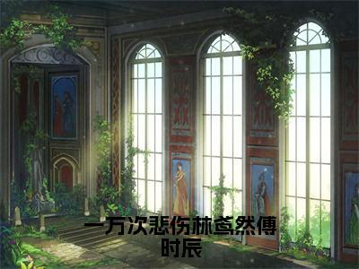 全章节完整《一万次悲伤林鸢然傅时辰》全文阅读《林鸢然傅时辰》