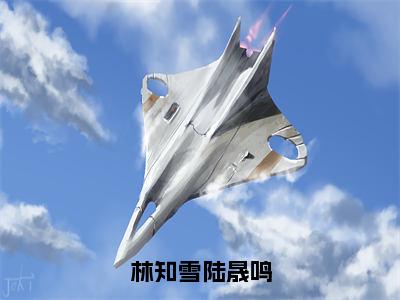 林知雪陆晟鸣小说全文免费阅读无弹窗-陆晟鸣林知雪全文在线阅读