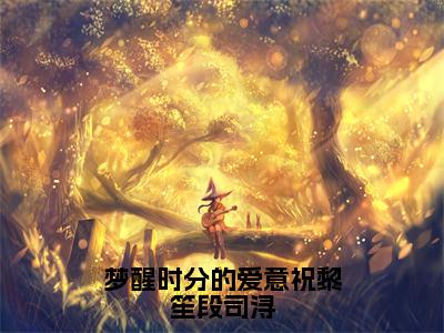 梦醒时分的爱意祝黎笙段司浔（祝黎笙段司浔）全文小说-梦醒时分的爱意祝黎笙段司浔小说最新章节免费阅读