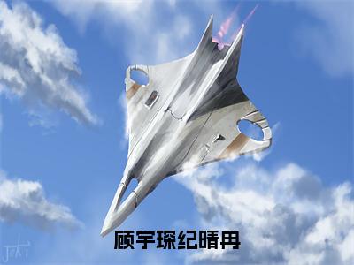 顾宇琛纪晴冉（纪晴冉顾宇琛小说）全文免费阅读无弹窗大结局_纪晴冉顾宇琛完整版小说阅读