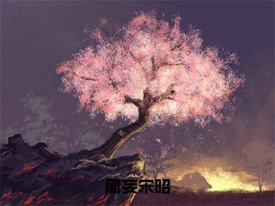 宋昭周妄（完整版）热文小说阅读-宋昭周妄全文抖音热推