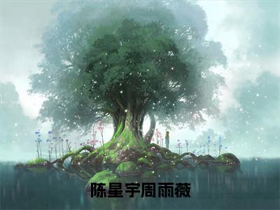 陈星宇周雨薇小说全文-陈星宇周雨薇无弹窗免费阅读