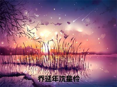 乔延年沈星怜小说乔延年沈星怜完整版全文在线赏析-小说乔延年沈星怜全文大结局已完结