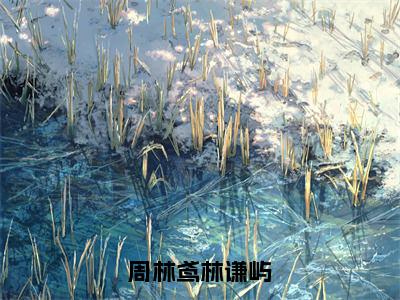 小说《周林鸢林谦屿》全文免费阅读无弹窗-周林鸢林谦屿小说全文在线赏析