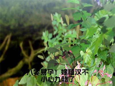 【热门】《八零易孕！嫁糙汉不小心九胎了》书名是林晚棠靳松青全文免费阅读已完结