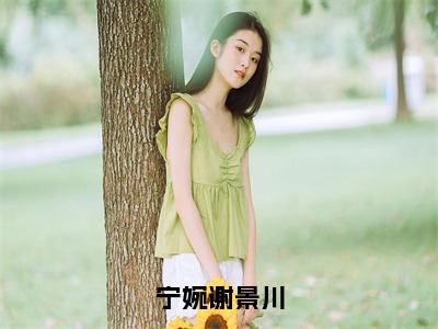 宁婉谢景川（宁婉谢景川）全文免费阅读-宁婉谢景川（宁婉谢景川）最新章节小说阅读