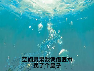 柳絮（空间灵泉我凭借医术拐了个皇子）全文免费阅读无弹窗大结局_空间灵泉我凭借医术拐了个皇子全文阅读_笔趣阁（柳絮）