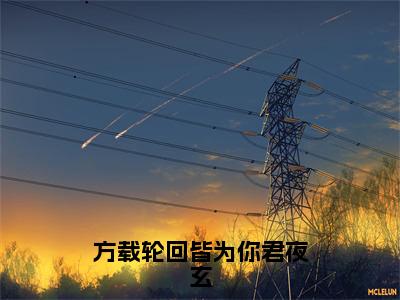 顾云汐君夜玄全文免费阅读大结局方载轮回皆为你君夜玄最新章节列表（全文）+（番外）