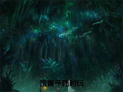 沈青予陆时衍（沈青予陆时衍）免费阅读完整版-（沈青予陆时衍小说）沈青予陆时衍全文大结局已完结