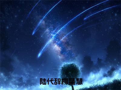 柳星慧陆代辞小说免费（陆代辞柳星慧）全文免费阅读无弹窗-陆代辞柳星慧小说全文免费阅读最新章节列表