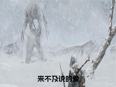 来不及说的爱裴茹雪全文完整版-裴茹雪小说在线阅读