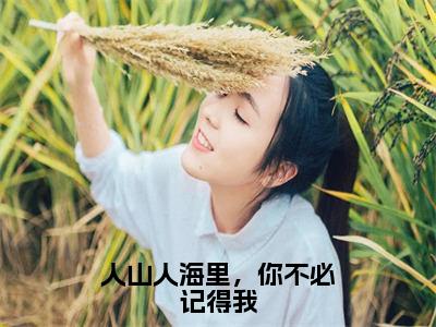 好书推荐小说人山人海里，你不必记得我（秦以城）-人山人海里，你不必记得我全文免费阅读大结局