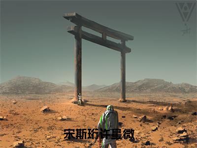 宋斯珩许星微（许星微宋斯珩）全文免费阅读无弹窗_宋斯珩许星微:许星微宋斯珩最新小说_笔趣阁