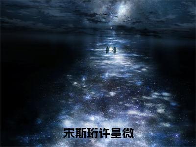 宋斯珩许星微全文（许星微宋斯珩）抖音热推小说全集无删减_许星微宋斯珩免费最新章节列表_笔趣阁