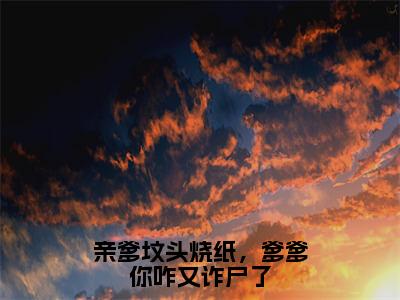 亲爹坟头烧纸，爹爹你咋又诈尸了小说（宁柒云沐）全文免费阅读无弹窗大结局_亲爹坟头烧纸，爹爹你咋又诈尸了小说免费阅读_笔趣阁（宁柒云沐小说）