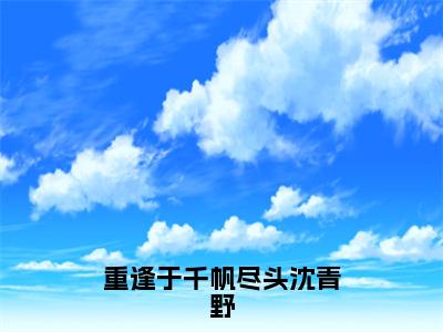 重逢于千帆尽头沈青野免费阅读全文免费阅读无弹窗大结局_（程音音沈青野小说免费阅读）重逢于千帆尽头沈青野最新章节阅读