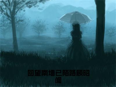 回望南墙已陌路顾昭闻（沈云嫣顾昭闻）全文免费阅读无弹窗_（沈云嫣顾昭闻）小说最新章节列表笔趣阁