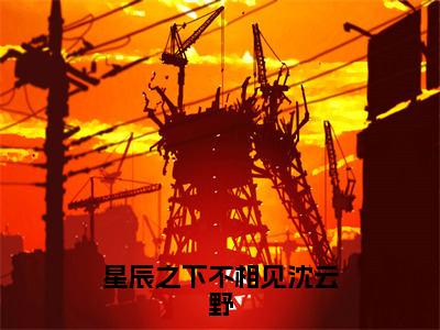 星辰之下不相见沈云野全文免费阅读无弹窗_（陆夕瑶沈云野）全文在线阅读大结局