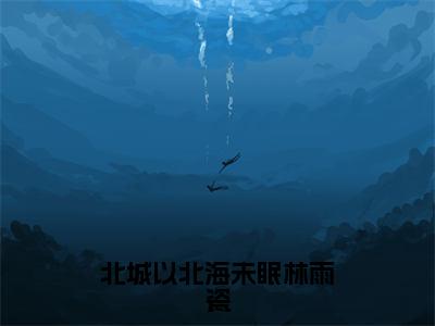 林雨瓷陆京泽完结版小说北城以北海未眠林雨瓷全文在线免费阅读_北城以北海未眠林雨瓷最新章节列表_笔趣阁