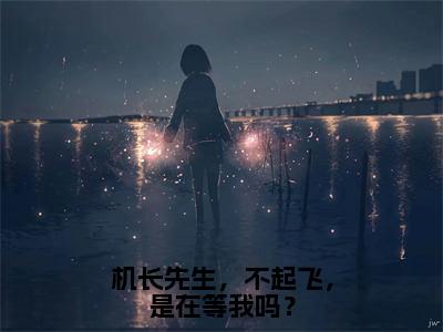 经典小说机长先生，不起飞，是在等我吗？无广告小说免费阅读洛霏霏祁劲全章节免费阅读